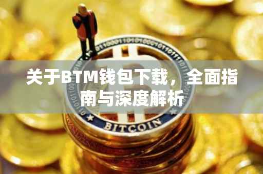 关于BTM钱包下载，全面指南与深度解析