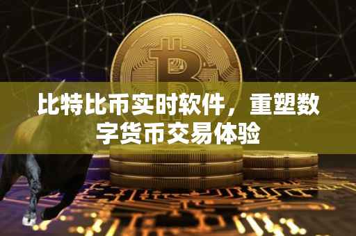 比特比币实时软件，重塑数字货币交易体验