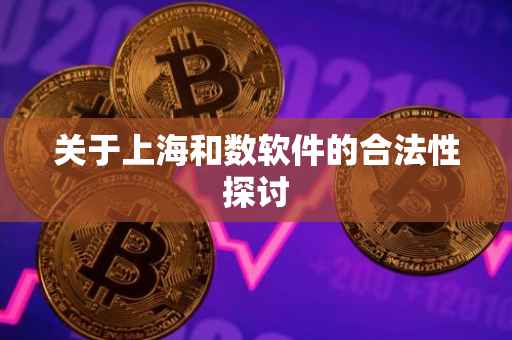 关于上海和数软件的合法性探讨