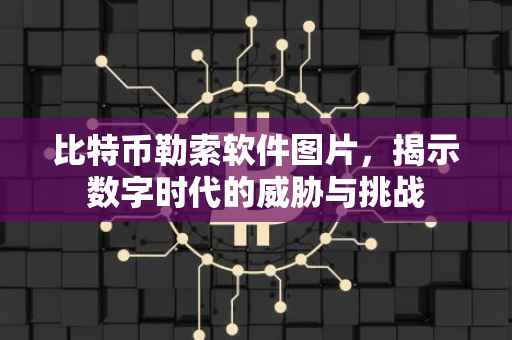 比特币勒索软件图片，揭示数字时代的威胁与挑战