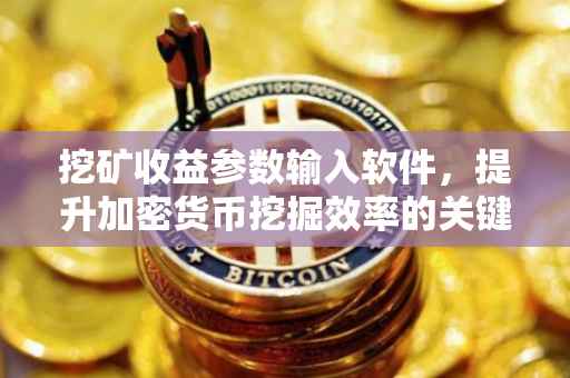 挖矿收益参数输入软件，提升加密货币挖掘效率的关键工具