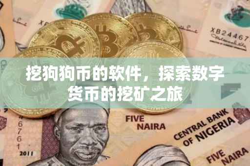 挖狗狗币的软件，探索数字货币的挖矿之旅