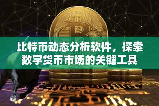 比特币动态分析软件，探索数字货币市场的关键工具