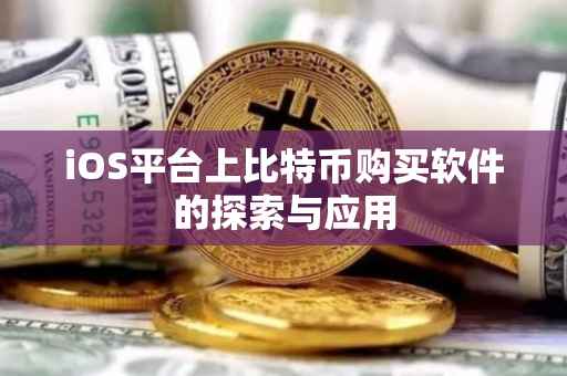 iOS平台上比特币购买软件的探索与应用