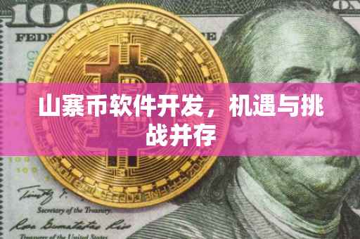 山寨币软件开发，机遇与挑战并存
