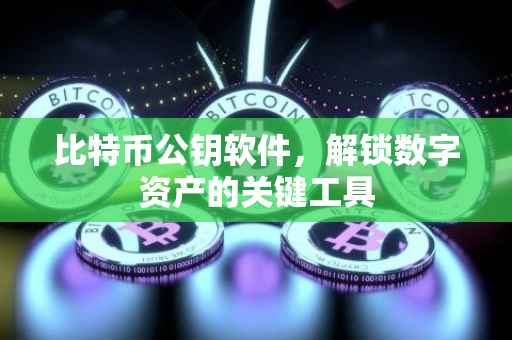 比特币公钥软件，解锁数字资产的关键工具