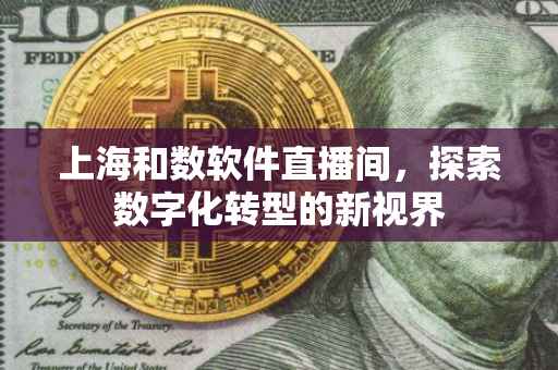 上海和数软件直播间，探索数字化转型的新视界