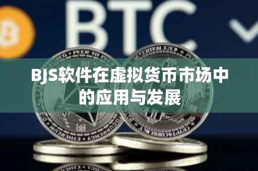 BJS软件在虚拟货币市场中的应用与发展