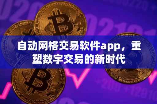 自动网格交易软件app，重塑数字交易的新时代