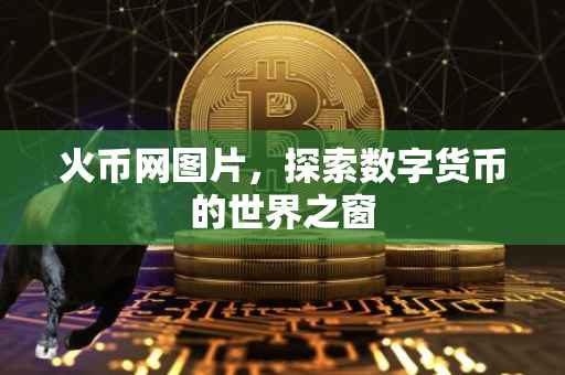 火币网图片，探索数字货币的世界之窗