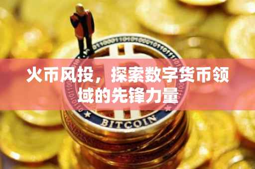 火币风投，探索数字货币领域的先锋力量