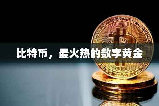 比特币，最火热的数字黄金