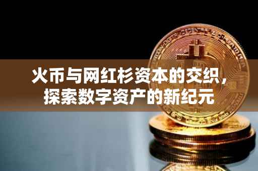 火币与网红杉资本的交织，探索数字资产的新纪元