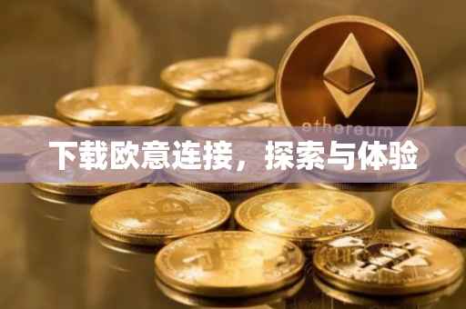 下载欧意连接，探索与体验