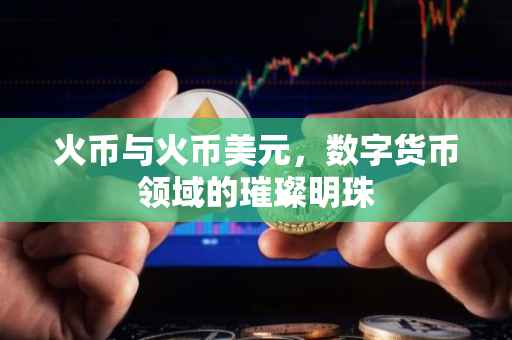 火币与火币美元，数字货币领域的璀璨明珠