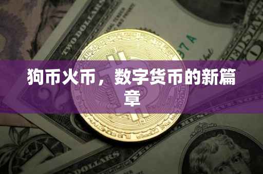 狗币火币，数字货币的新篇章