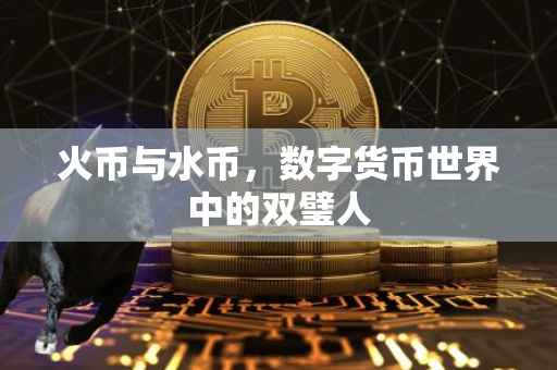 火币与水币，数字货币世界中的双璧人