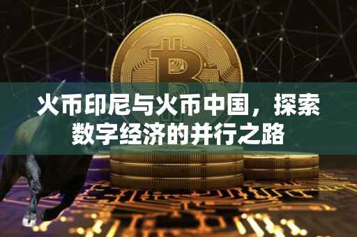 火币印尼与火币中国，探索数字经济的并行之路