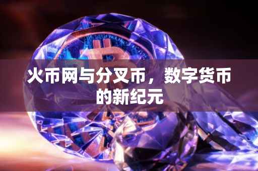 火币网与分叉币，数字货币的新纪元