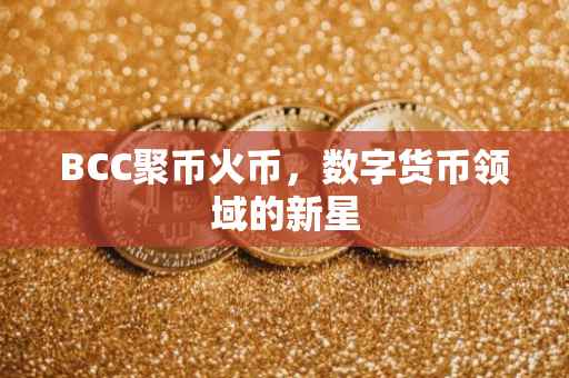BCC聚币火币，数字货币领域的新星