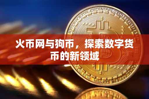 火币网与狗币，探索数字货币的新领域
