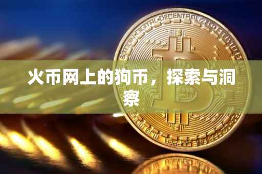 火币网上的狗币，探索与洞察