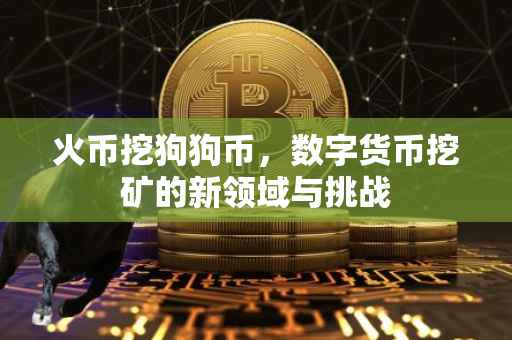 火币挖狗狗币，数字货币挖矿的新领域与挑战
