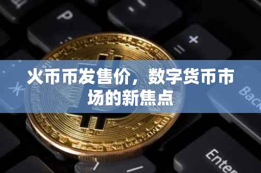 火币币发售价，数字货币市场的新焦点