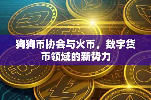 狗狗币协会与火币，数字货币领域的新势力