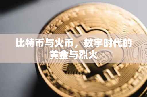 比特币与火币，数字时代的黄金与烈火