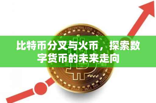比特币分叉与火币，探索数字货币的未来走向