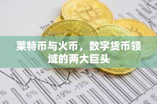 莱特币与火币，数字货币领域的两大巨头