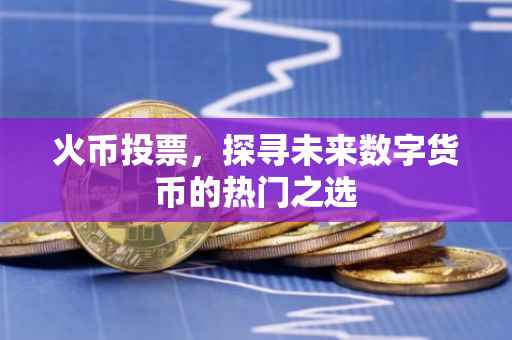 火币投票，探寻未来数字货币的热门之选