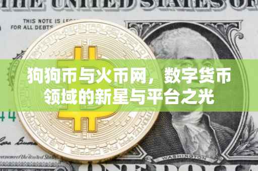 狗狗币与火币网，数字货币领域的新星与平台之光