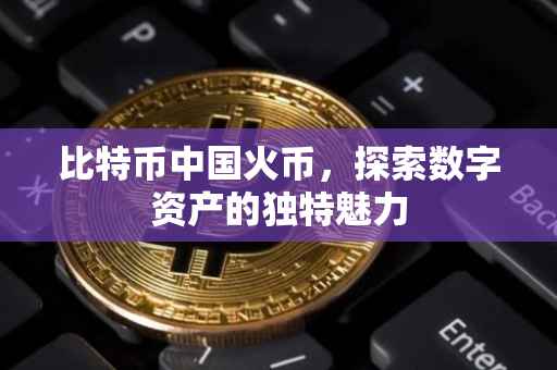 比特币中国火币，探索数字资产的独特魅力