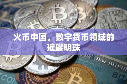 火币中国，数字货币领域的璀璨明珠