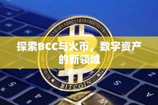 探索BCC与火币，数字资产的新领域