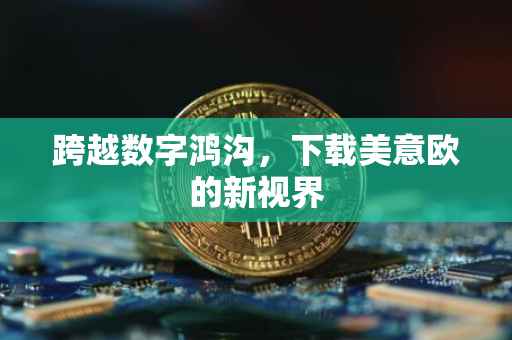 跨越数字鸿沟，下载美意欧的新视界