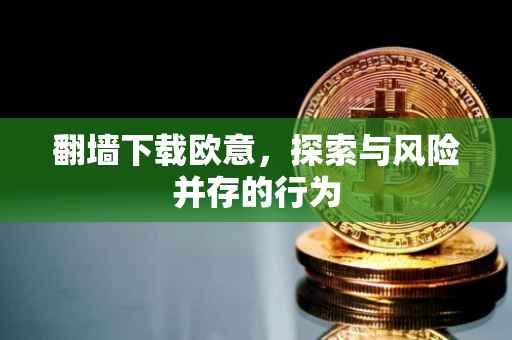 翻墙下载欧意，探索与风险并存的行为