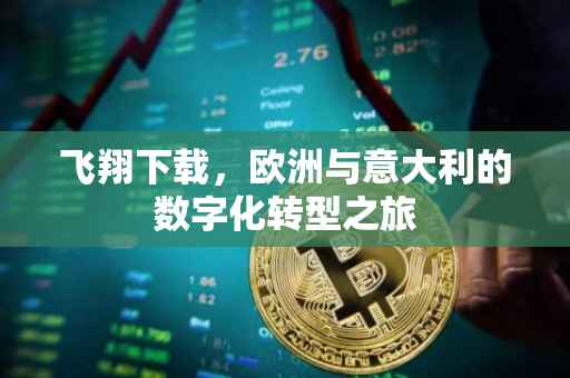 飞翔下载，欧洲与意大利的数字化转型之旅