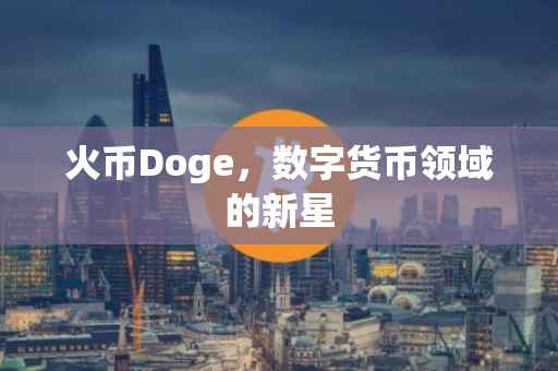 火币Doge，数字货币领域的新星