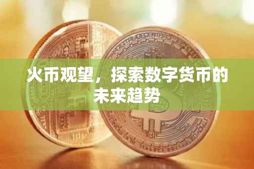 火币观望，探索数字货币的未来趋势