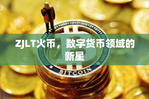 ZJLT火币，数字货币领域的新星
