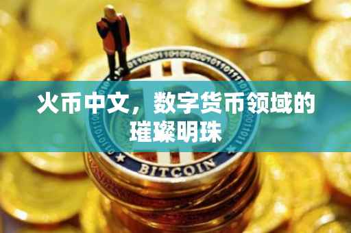 火币中文，数字货币领域的璀璨明珠