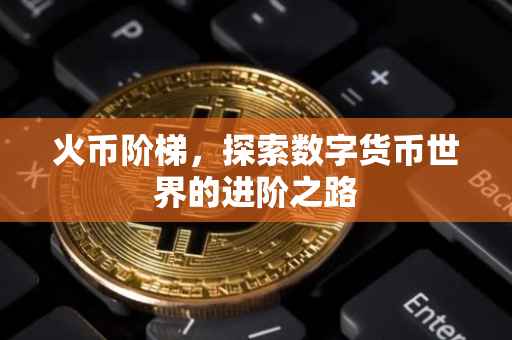 火币阶梯，探索数字货币世界的进阶之路