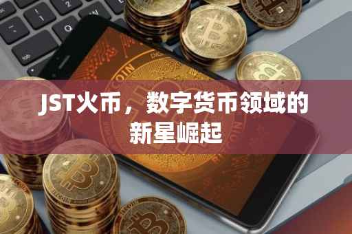 JST火币，数字货币领域的新星崛起