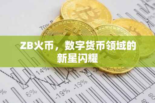 ZB火币，数字货币领域的新星闪耀