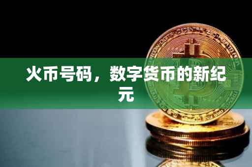 火币号码，数字货币的新纪元