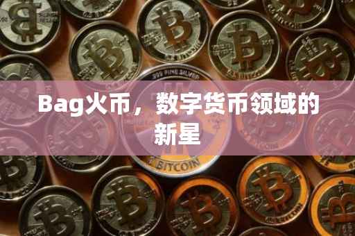 Bag火币，数字货币领域的新星