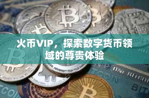 火币VIP，探索数字货币领域的尊贵体验